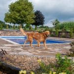 fiberglass swimming pool with paver patio