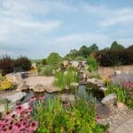 pond off of patio and outdoor living space