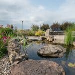 pond off of patio and outdoor living space