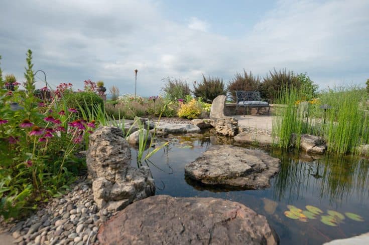 The Perfect Outdoor living space with Patio, Ponds, Pergola, Outdoor Kitchen, and Fireplace