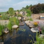 pond off of patio and outdoor living space