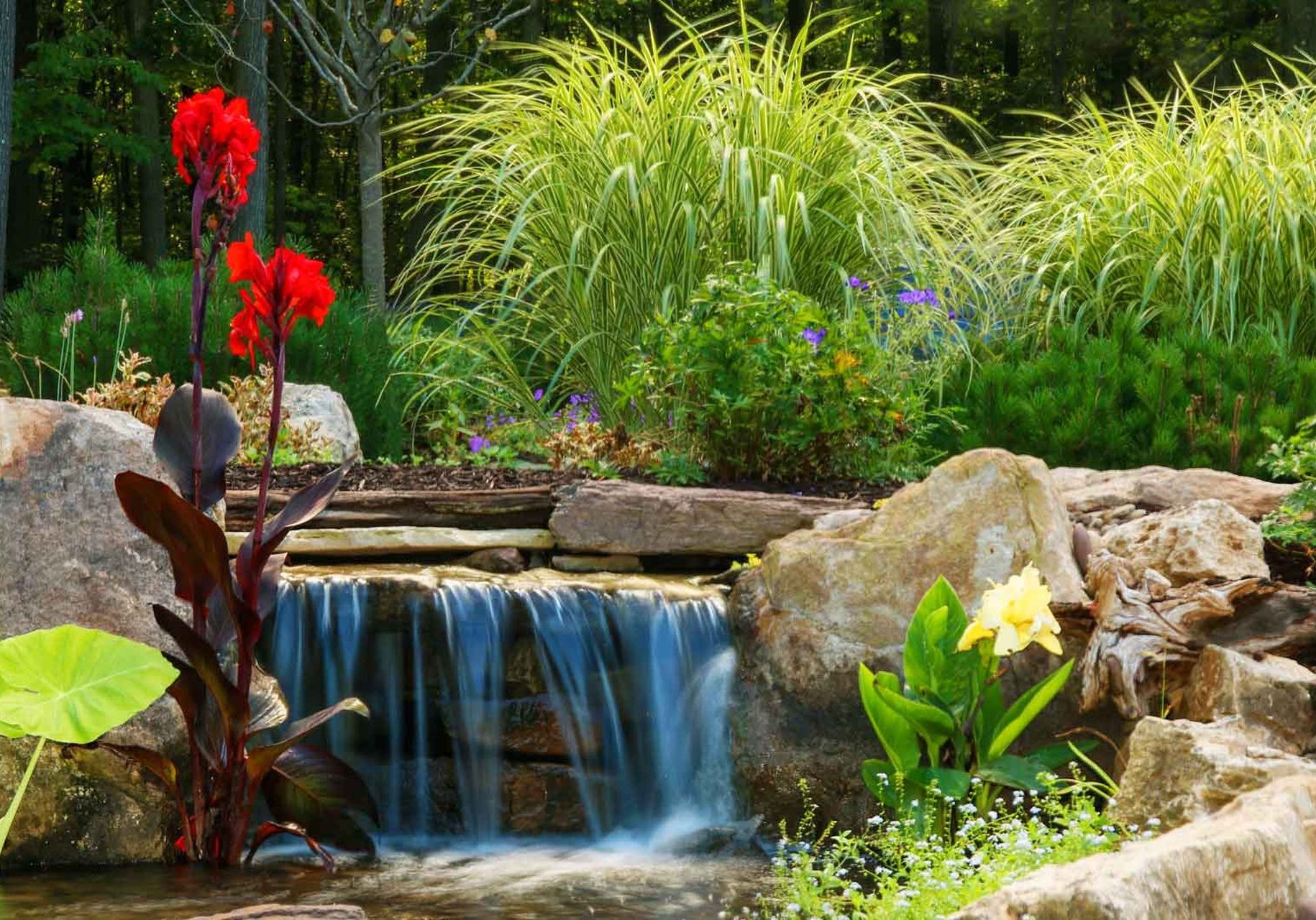 A waterfall in a garden with rocks and flowers.