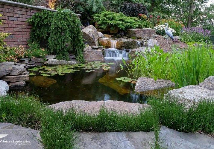 A pond with a waterfall and rocks in the background.